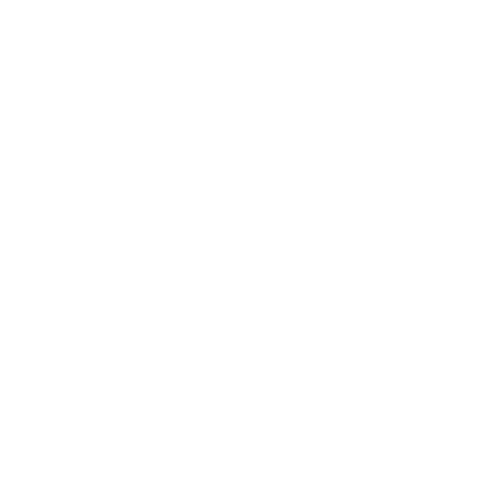 Logan Hub